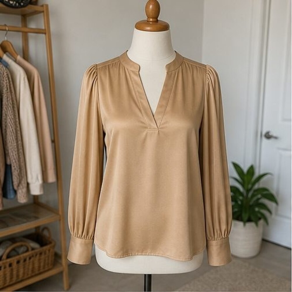 Camel Tunic Blouse